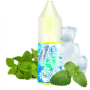 Fruizee Icee Mint Aroma Concentrato CON TASSELLO 10 ml